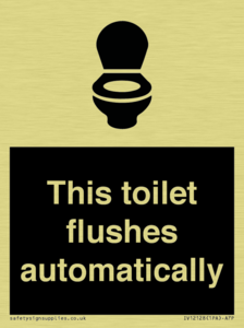 This toilet flushes automatically